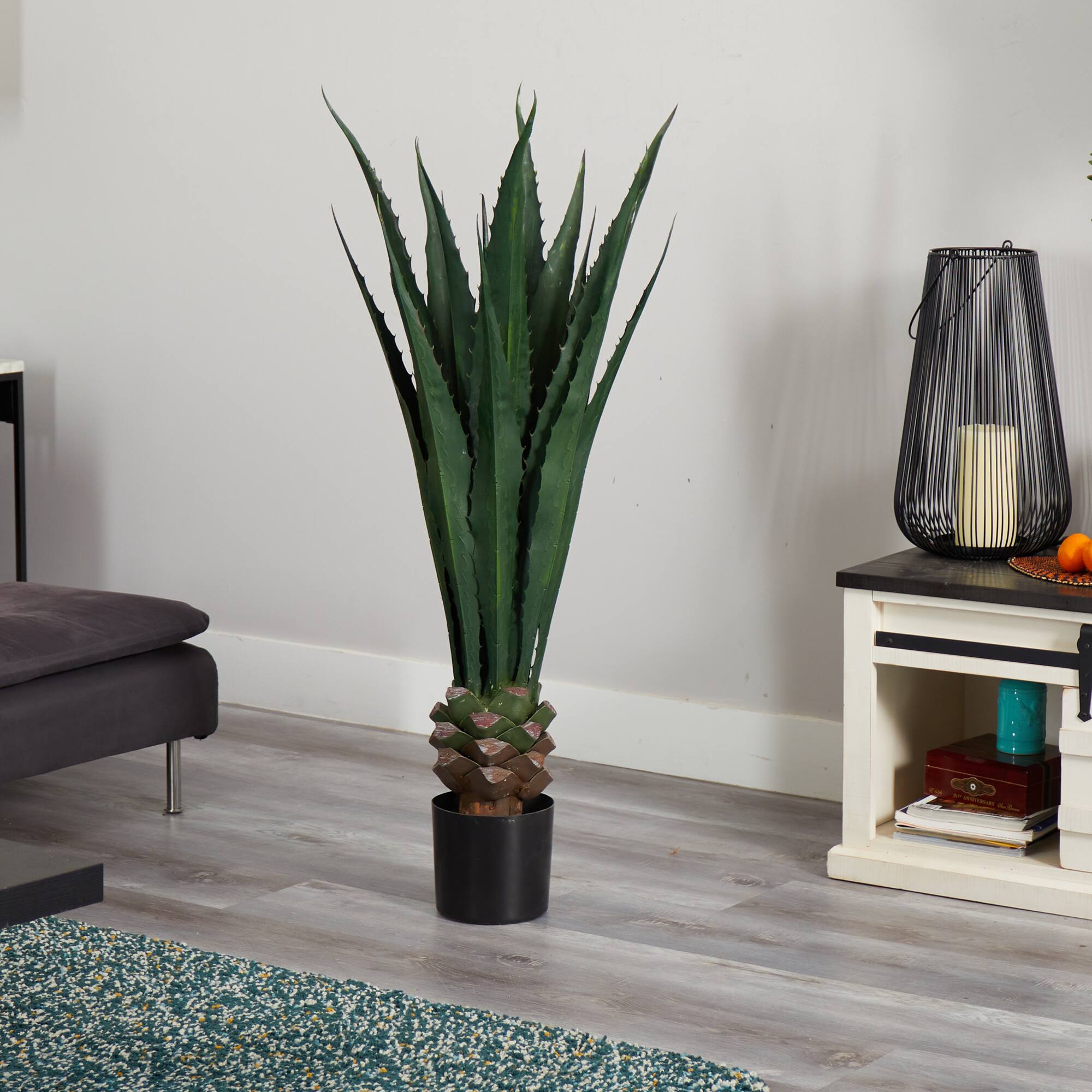 4.5ft. Potted Giant Agave Plant